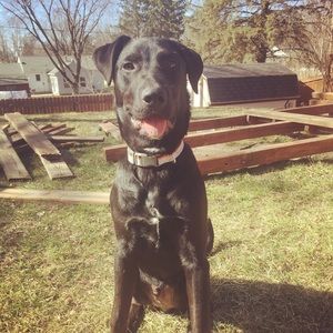 Meet your Posher, Kelsey